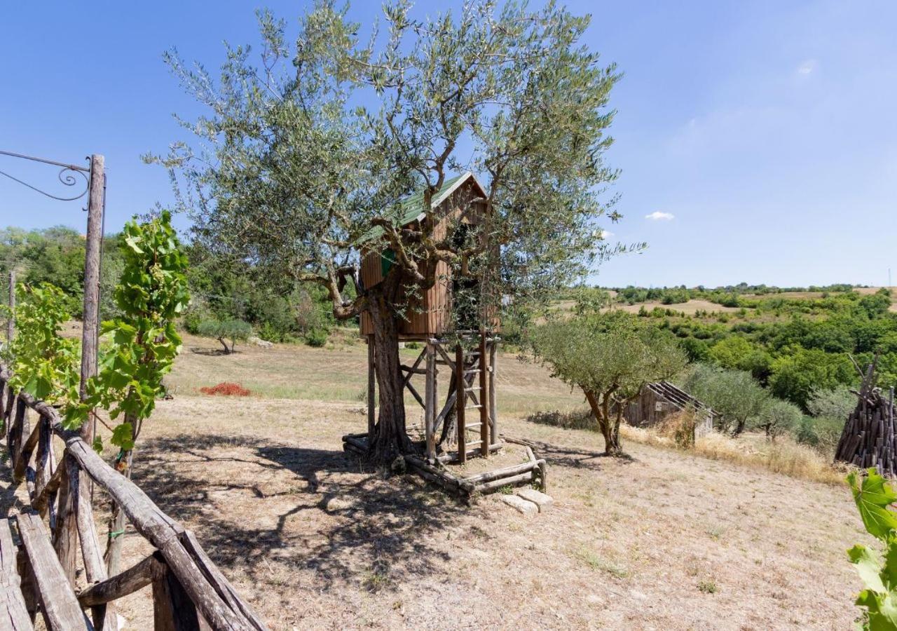 Agriturismo Torre Gialluise Gesualdo Exteriér fotografie